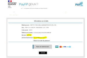Ecran d'accueil du site de paiement en ligne "PayFiP" de la Direction Générale des finances publiques, récapitulant les informations concernant votre paiement, avec bouton "Payer par carte bancaire"